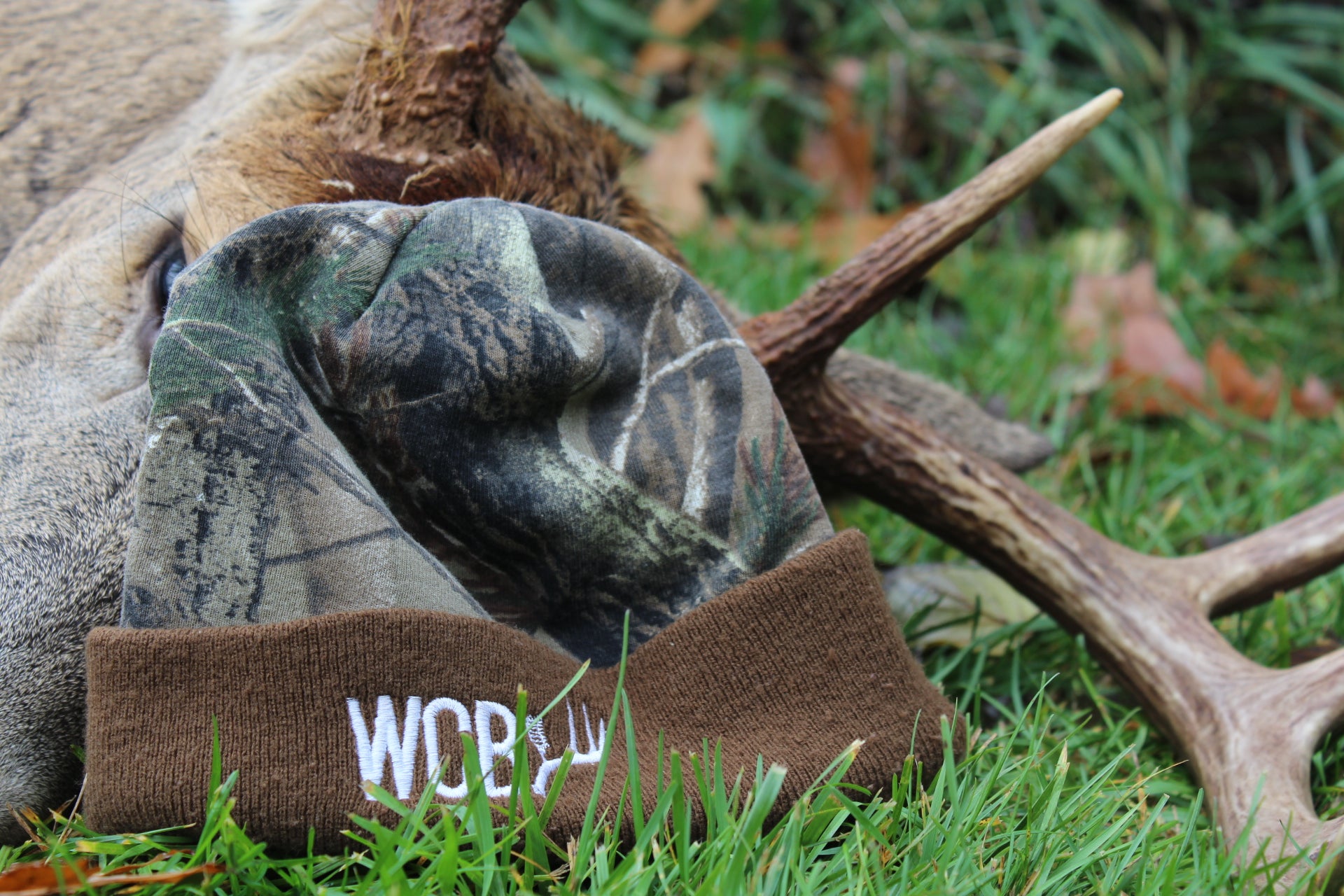 WCB Stocking Cap
